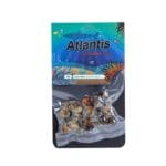 Atlantis 15 GRAM
