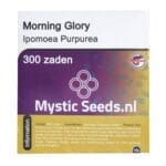Morning Glory - 300 seeds
