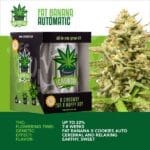 IGrowCan - Fat Banana Automatic (RQS)