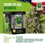 IGrowCan – Cherry Pie Automatic (RQS)